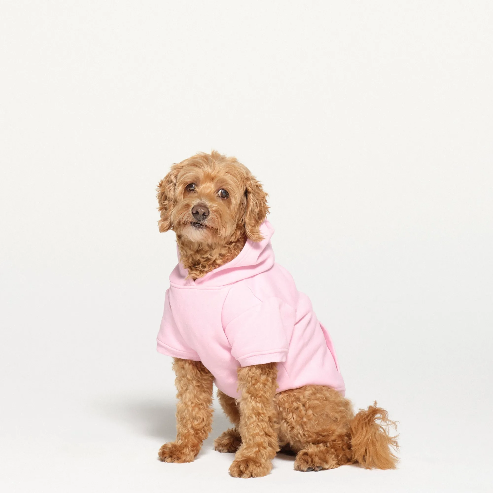COTTON FLEECE PET HOODIE | BABY PINK-Skims New