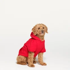 COTTON FLEECE PET HOODIE |-Skims Best